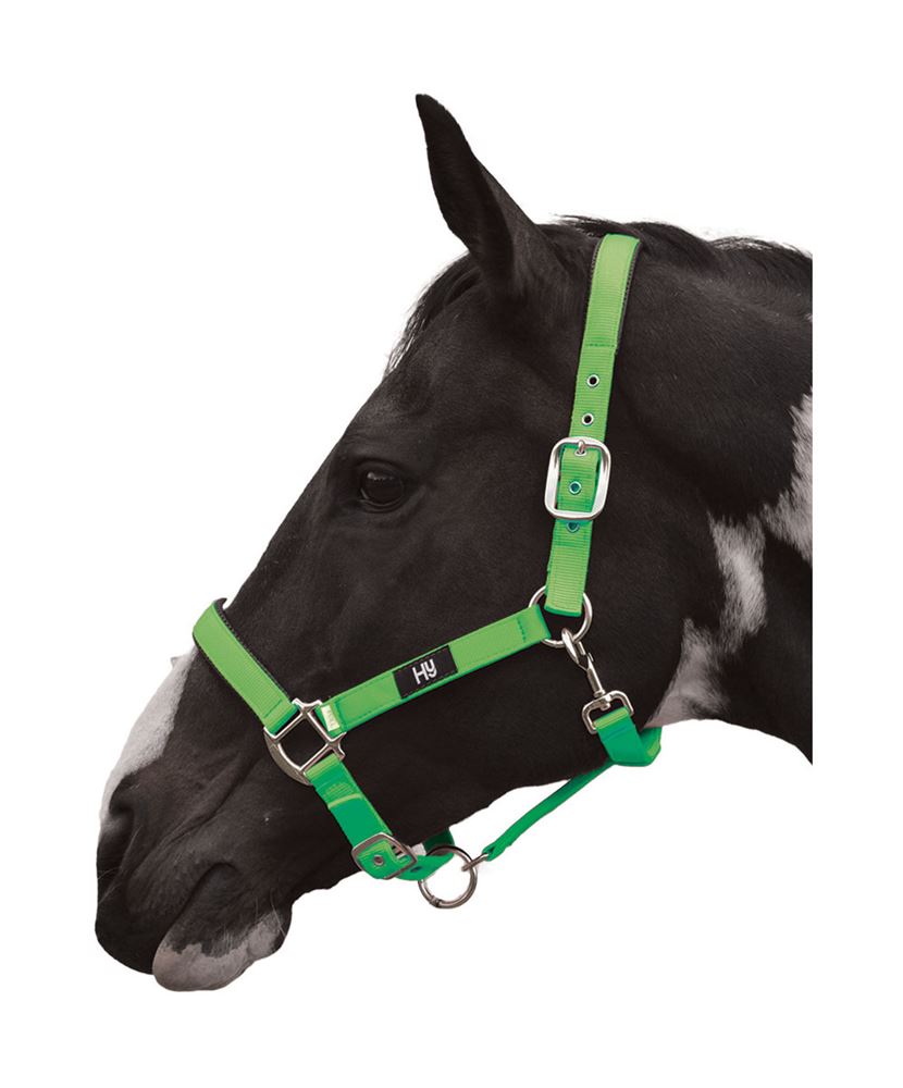 Hy Grand Prix Head Collar