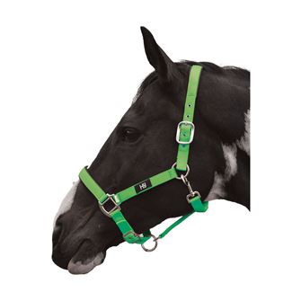 Hy Equestrian Grand Prix Head Collar