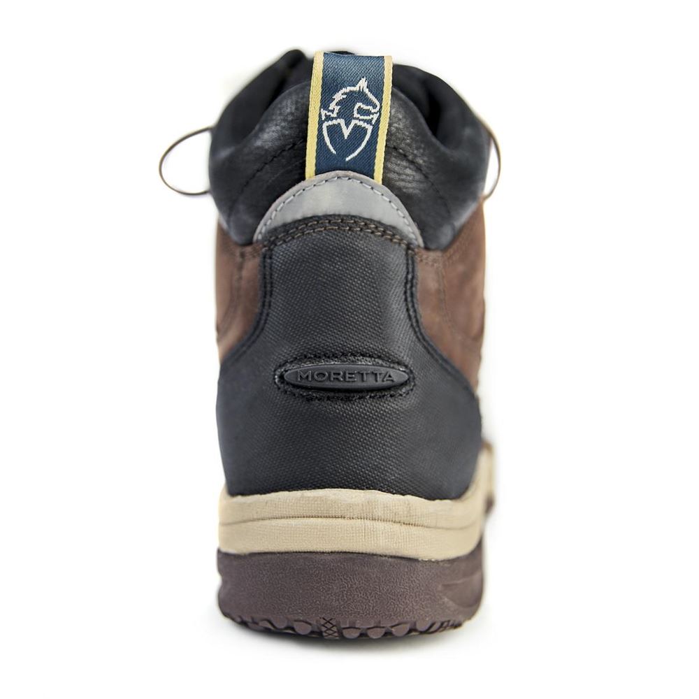 Shires Moretta Eleonora Lace Front Boots (Brown)