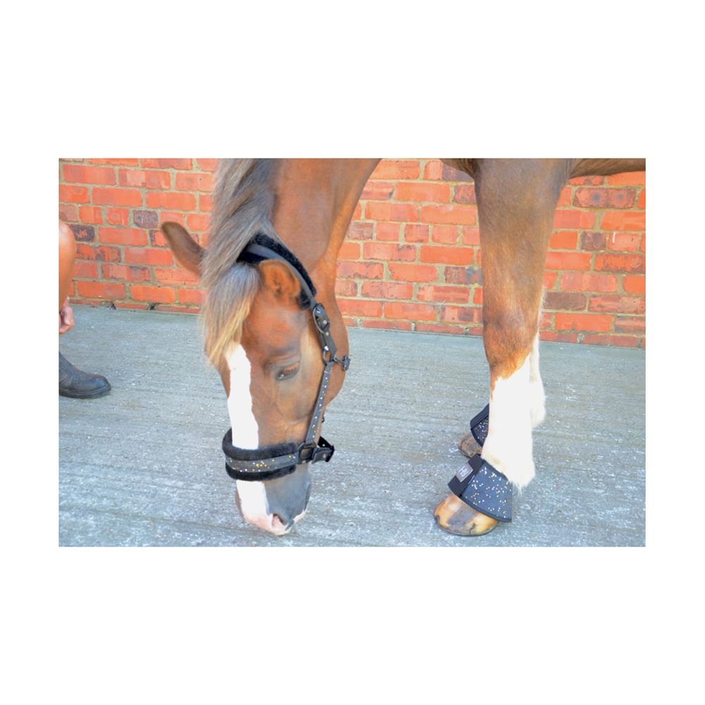 Hy Dazzle Head Collar