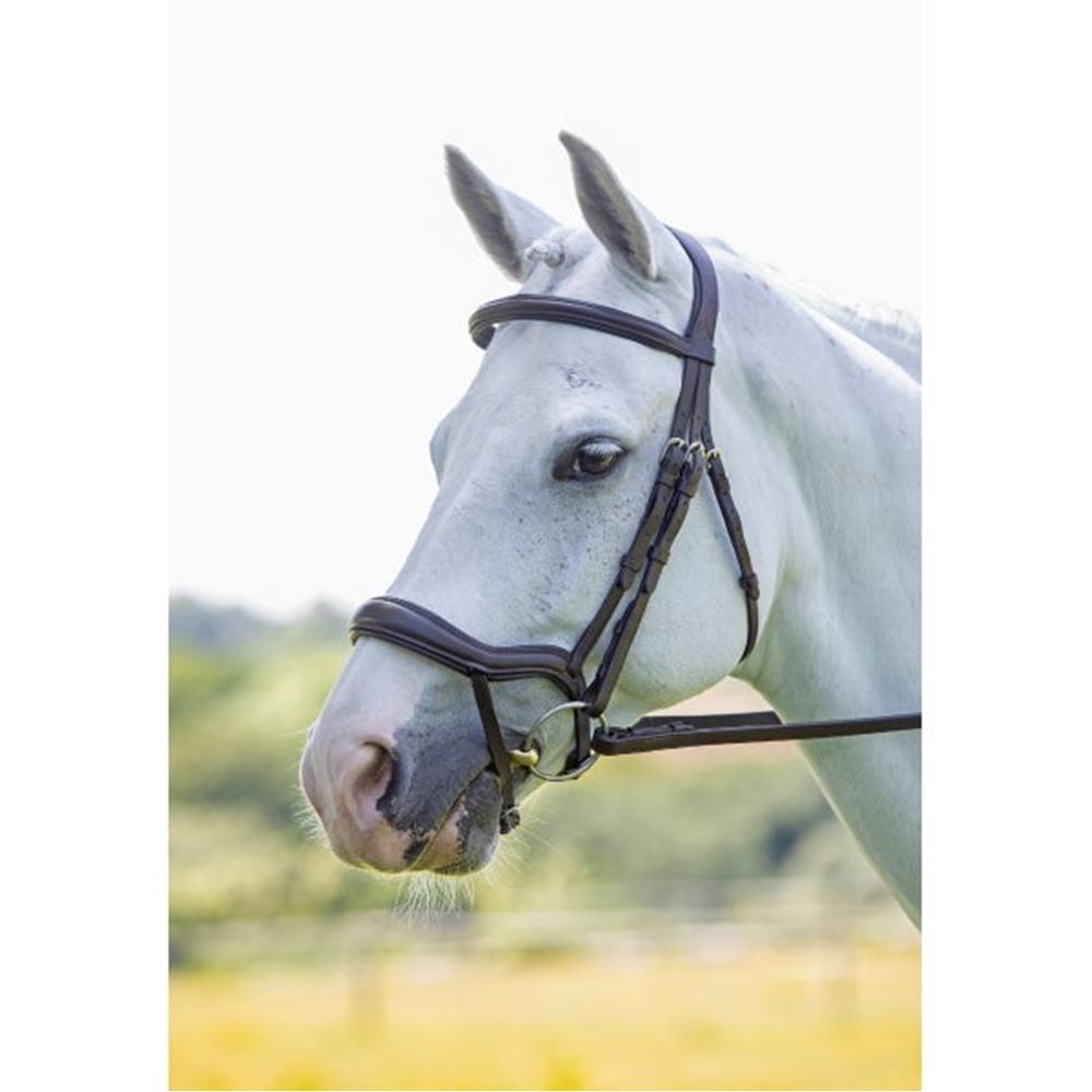 Shires Velociti Ergonomic Flash Bridle