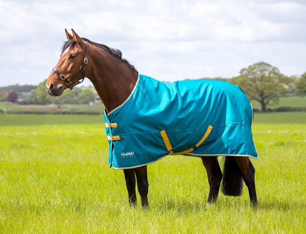 Shires Tempest Original 50g Turnout Rug (Blue)