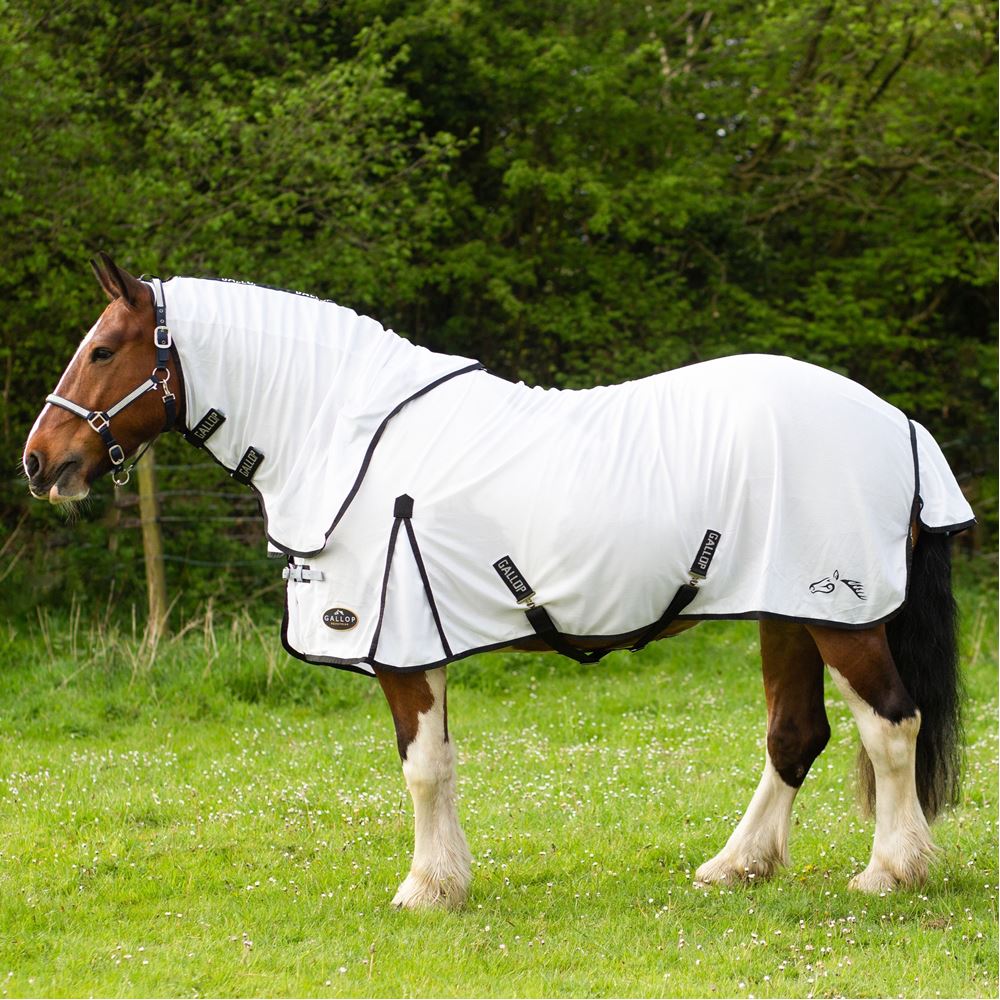 Gallop Dual Fly Rug
