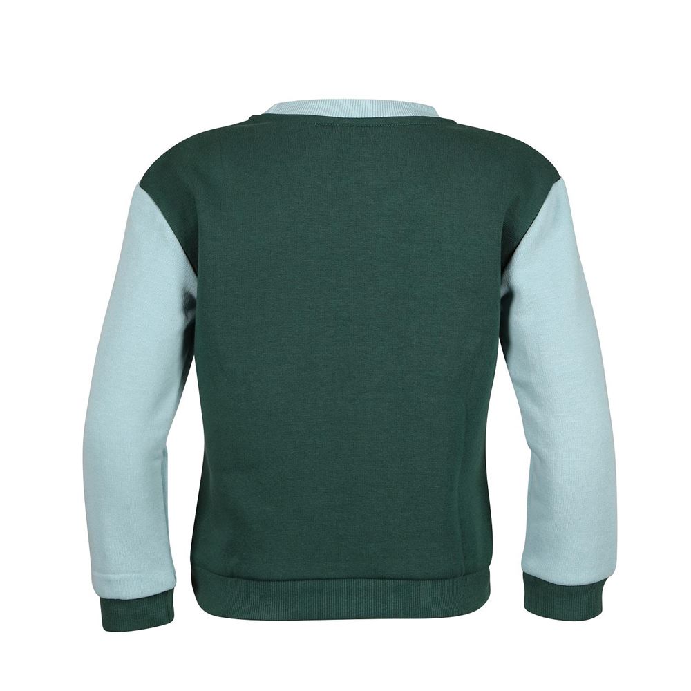 Shires Tikaboo Sweatshirt (Green Horse)