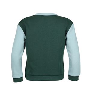 Shires Tikaboo Sweatshirt (Green Horse)
