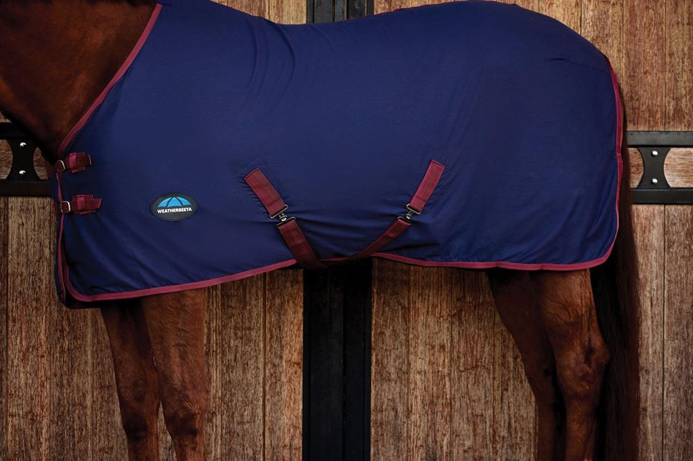 Weatherbeeta Cotton Sheet Standard Neck (Navy/Burgundy)