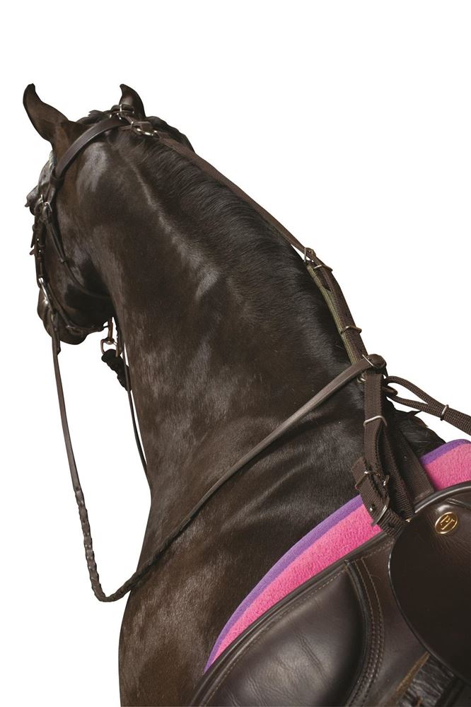 Kincade Anti-Grazing Straps