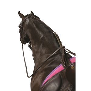 Kincade Anti-Grazing Straps