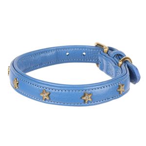 **barcodes** Digby & Fox Star Dog Collar - XS, XXS (Royal)