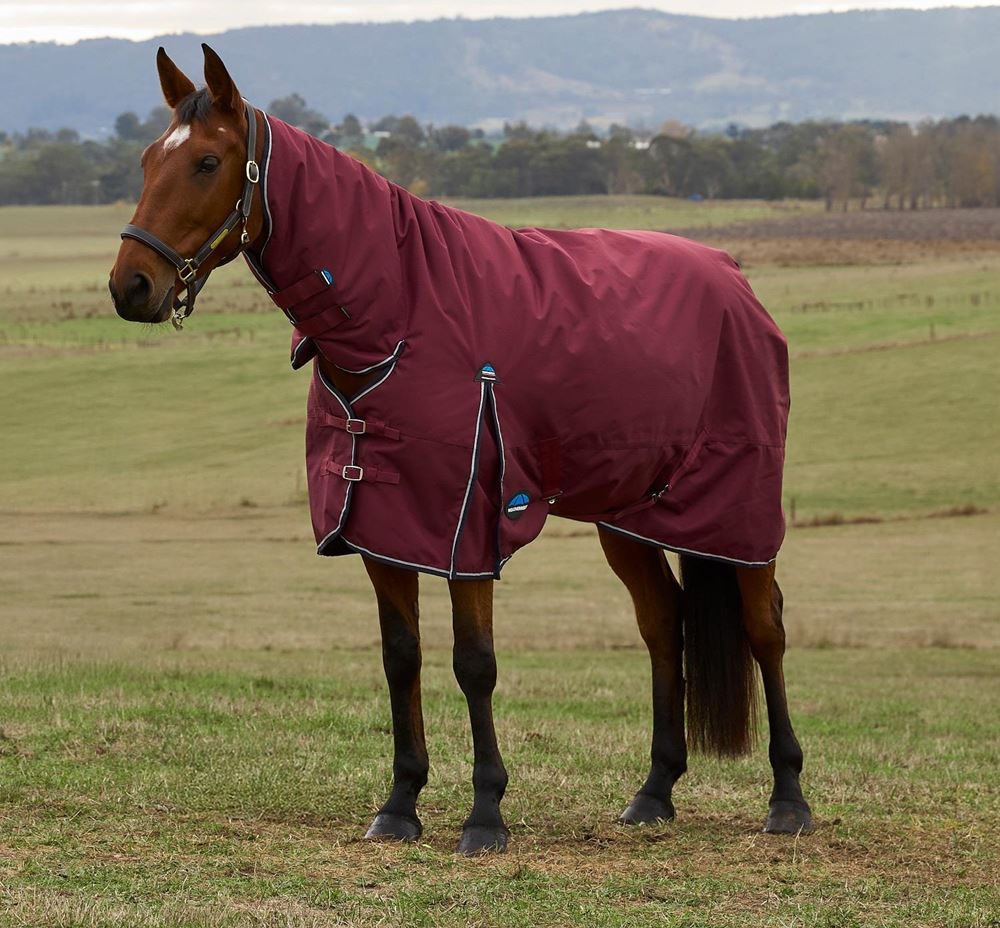 Weatherbeeta Comfitec Prelim Turnout Combo - 0g (Burgundy/Navy)