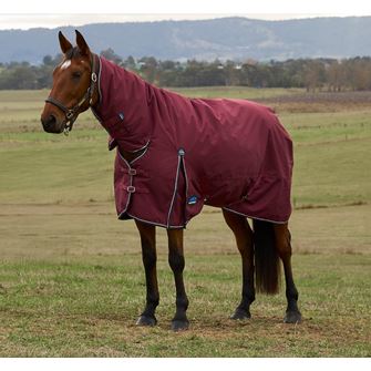 Weatherbeeta Comfitec Prelim Turnout Combo - 0g (Burgundy/Navy)