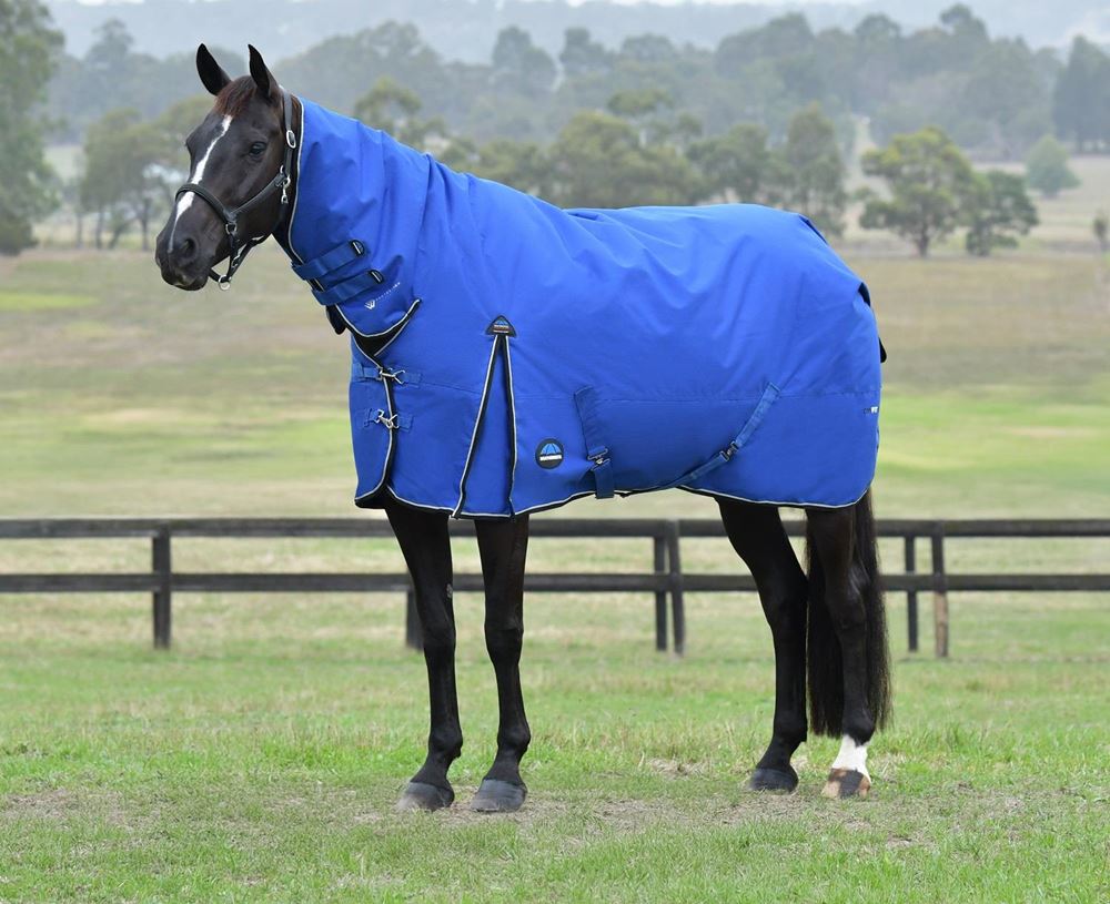 Weatherbeeta Comfitec Essential Turnout Combo - 220g (Cobalt/Black)