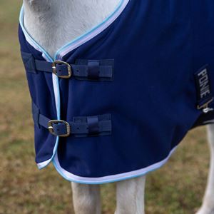 Gallop Ponie Navy Jersey Cooler Rug