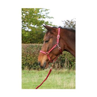 Hy Equestrian Rose Glitter Head Collar and Lead Rope Set (Burgundy)