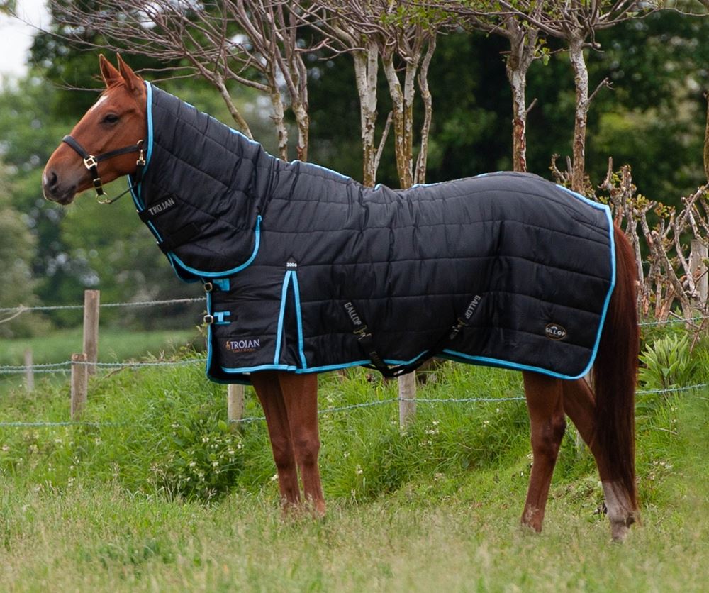 Gallop Trojan Maverick 300 Stable Combo (Black/Sky)