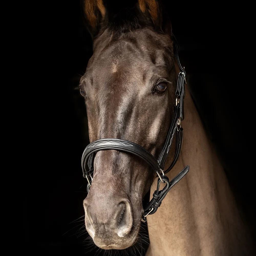 ProPresicce Softy Leather Head Collar by Hy Equestrian (Black with Silver Hardware)