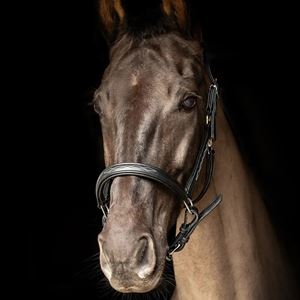 ProPresicce Softy Leather Head Collar by Hy Equestrian (Black with Silver Hardware)