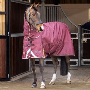 Shires Highlander Plus 100 Combo Turnout Rug (Maroon)