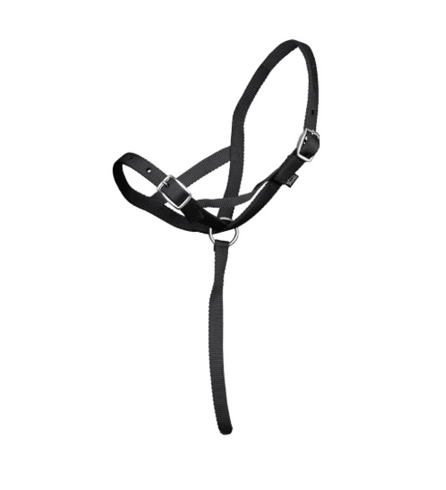 Shires Nylon Foal Slip