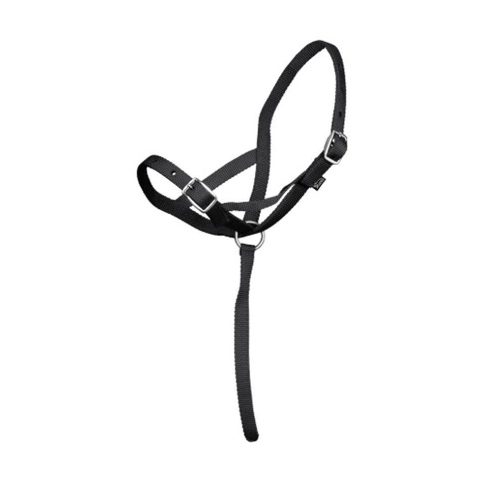 Shires Nylon Foal Slip