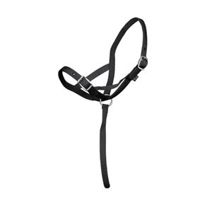 Shires Nylon Foal Slip