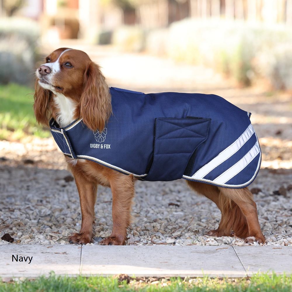 Shires Digby & Fox Waterproof Dog Coat (M)