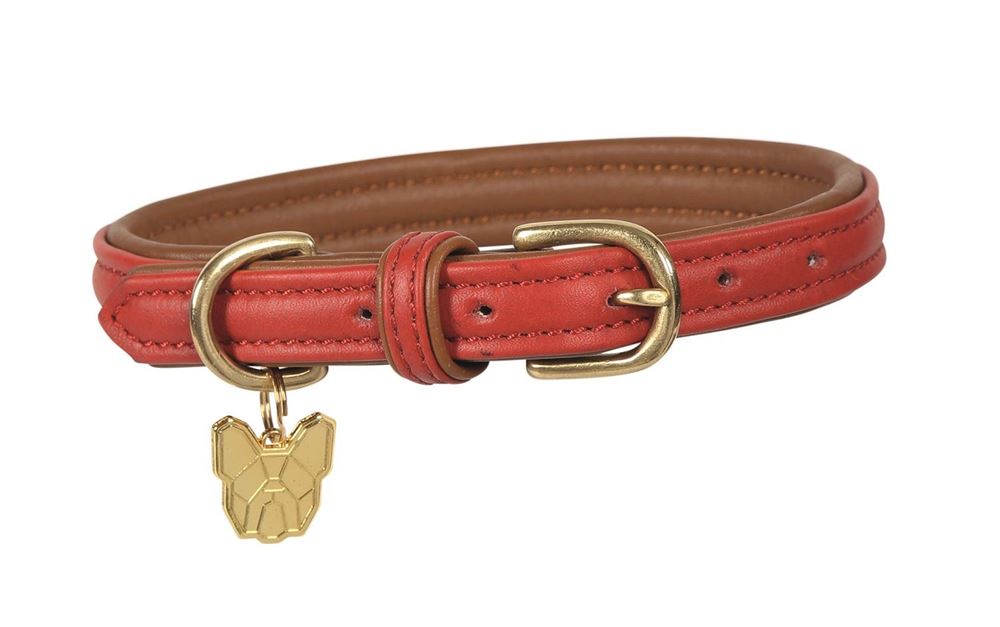 Shires Digby & Fox Padded Leather Dog Collar XL - XXL