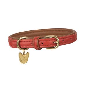 Shires Digby & Fox Padded Leather Dog Collar XL - XXL