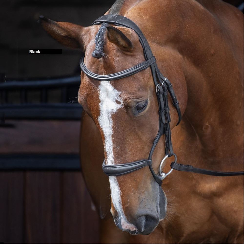 Shires Velociti RAPIDA Rolled Padded Cavesson Bridle
