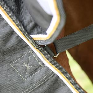 Shires Highlander Plus 50 Turnout Rug (Green)