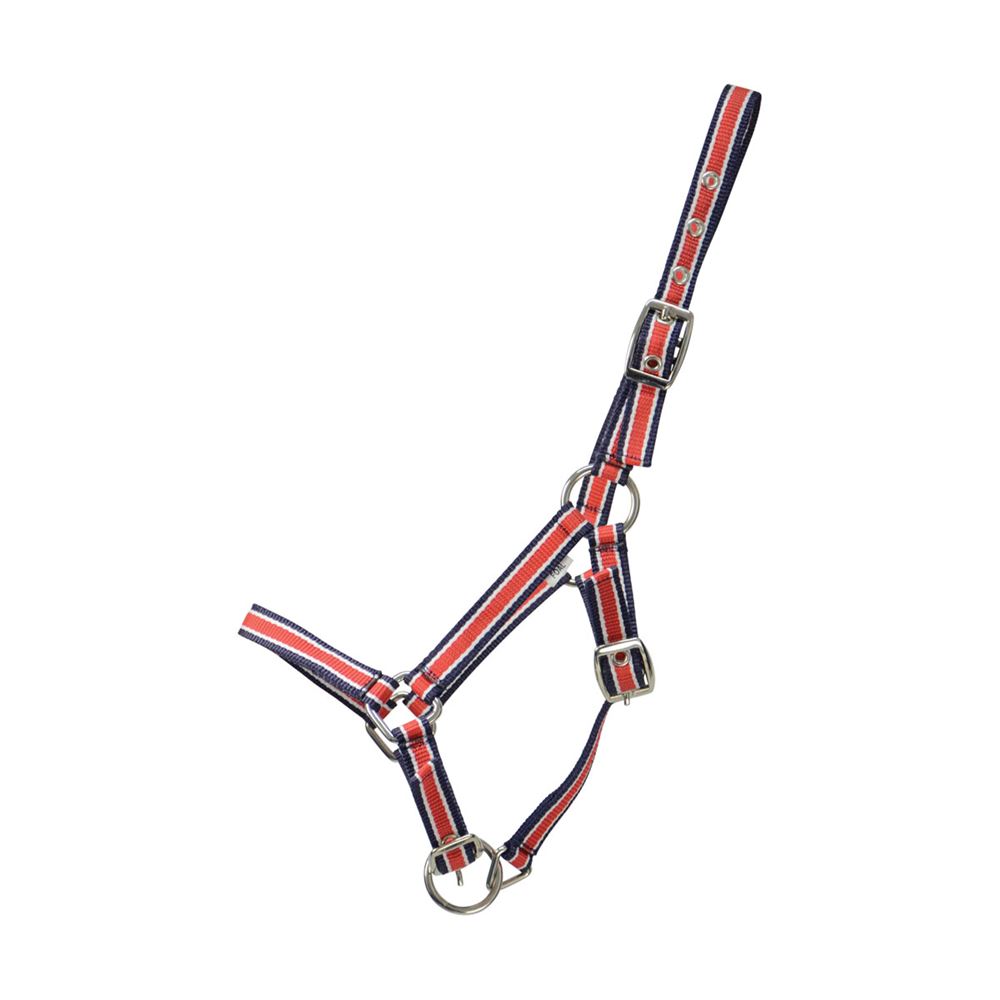 Hy Foal Plus Head Collar