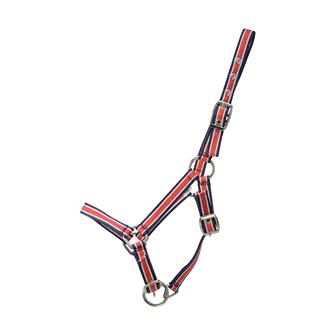 Hy Equestrian Foal Plus Head Collar