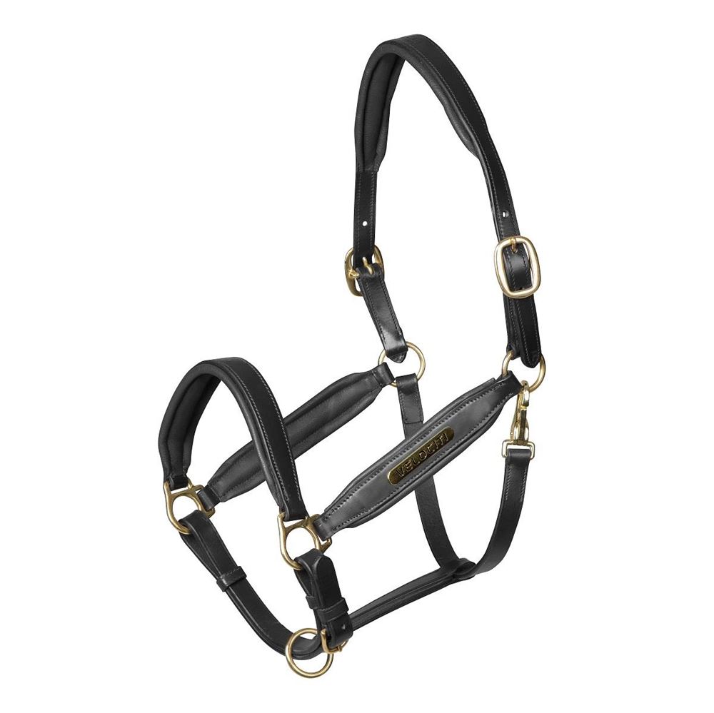 Shires Velociti Gara Leather Headcollar (Black)