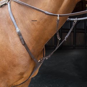 Shires Velociti RAPIDA Breastplate