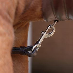 Shires Velociti Rapida Elastic Breastplate (Havana)