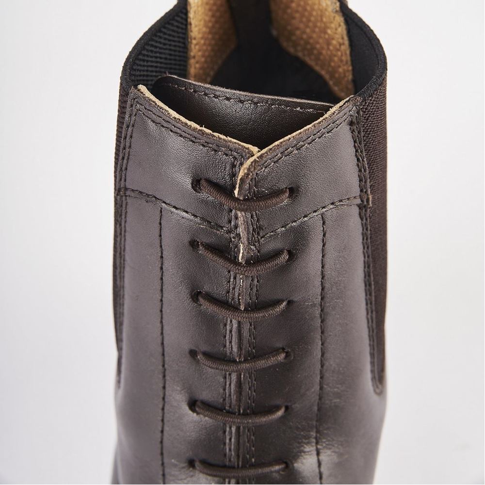 Shires Moretta Anita Paddock Boots (Brown)