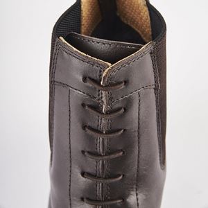 Shires Moretta Anita Paddock Boots (Brown)