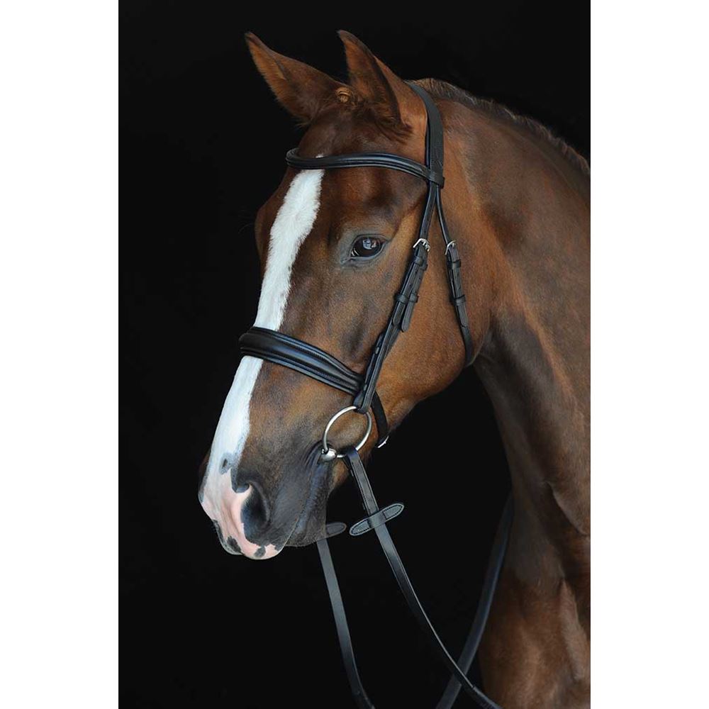 Collegiate Mono Crown Padded Raised Cavesson Bridle