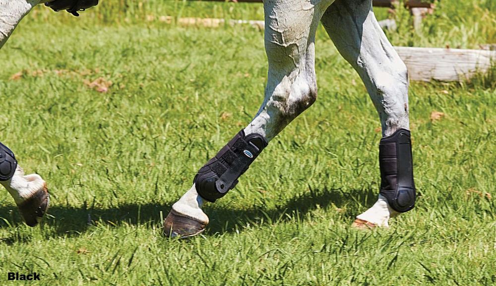 Weatherbeeta Flexi Shell Hind Cross Country Boots