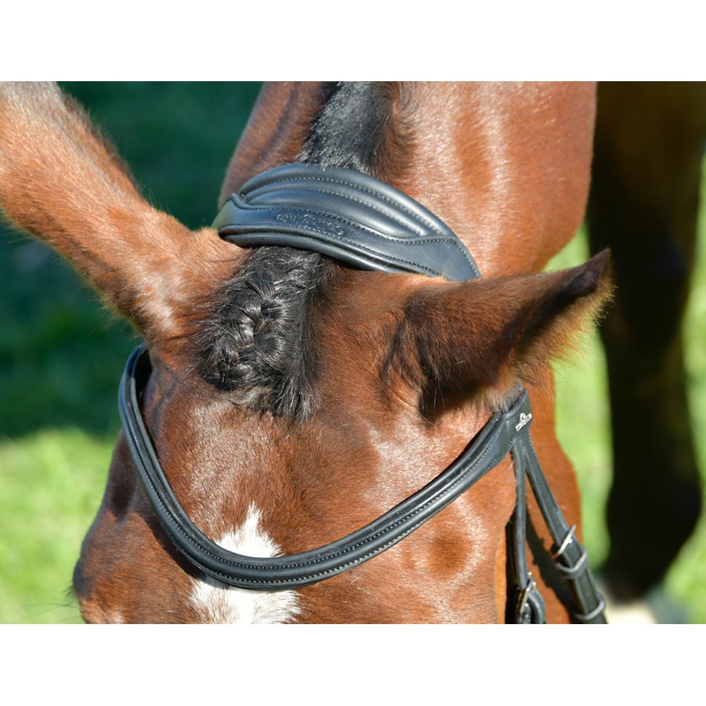Weatherbeeta Collegiate Comfitec Opulux Plain Padded Hanoverian Flash Bridle