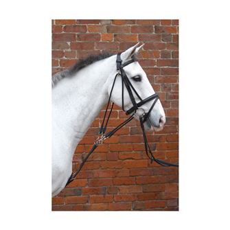 Hy Equestrian De Gouge Training Aid