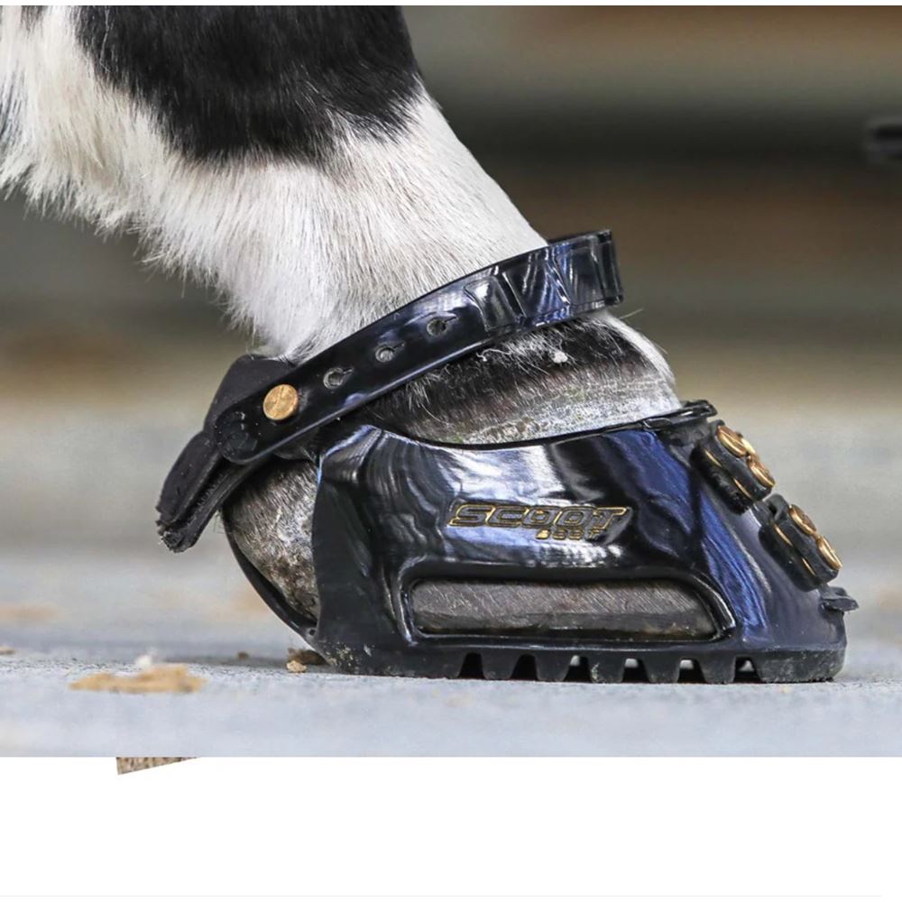 Scootboot Classic Hoof Boot (Regular and Slim) SINGLE BOOT