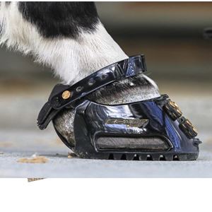 Scootboot Classic Hoof Boot (Regular and Slim) SINGLE BOOT