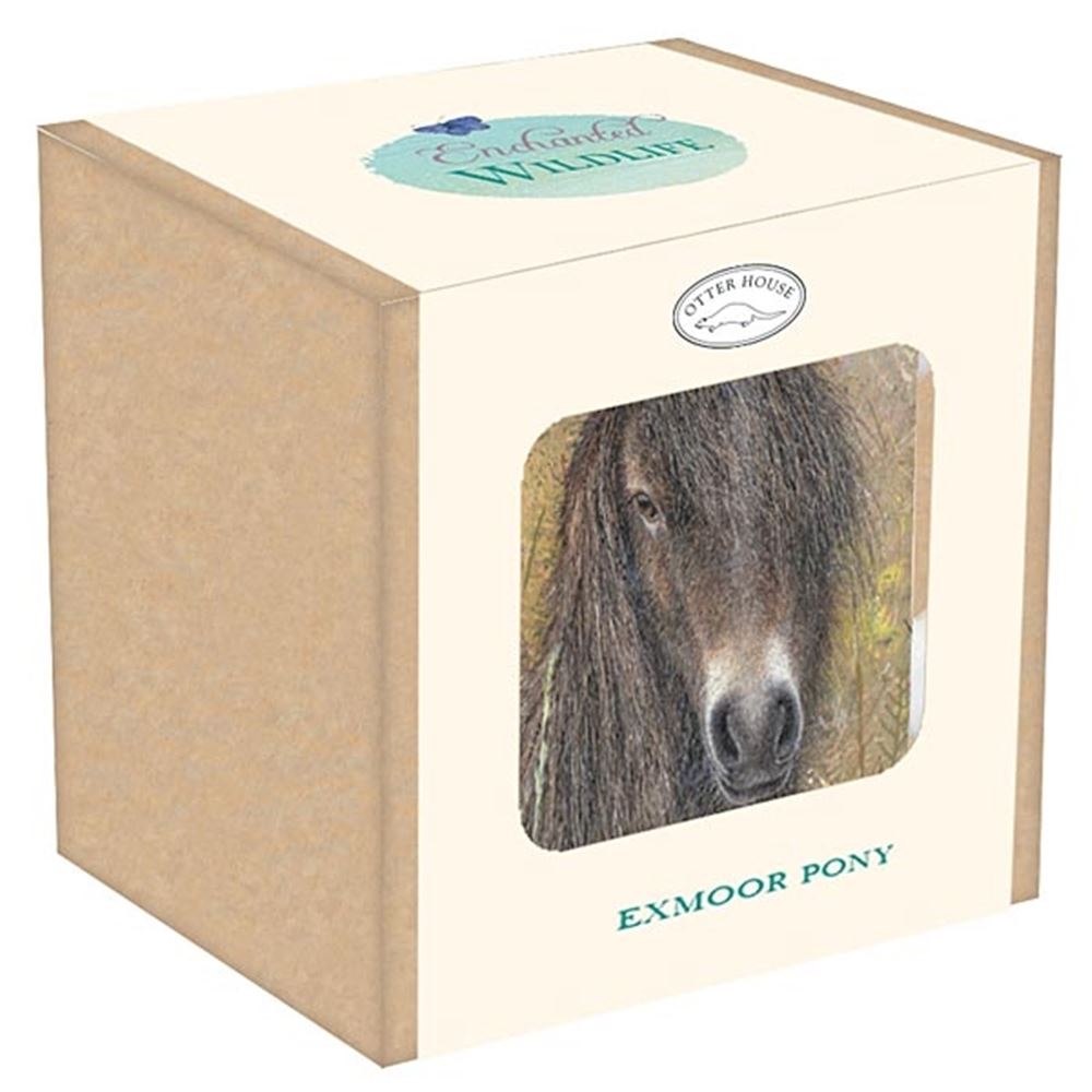 Jenkinsons Chunky Mug - Exmoor Pony