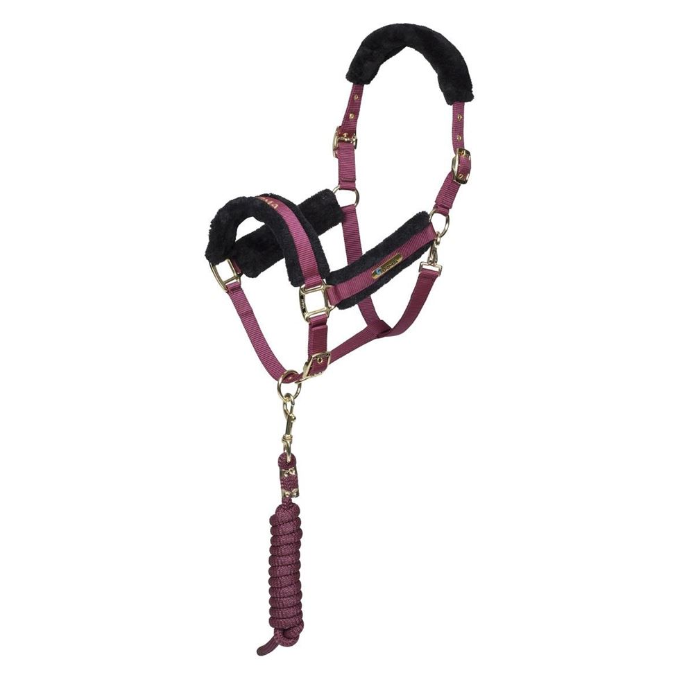 Shires ARMA Logo Headcollar & Lead Rope (Burgundy)