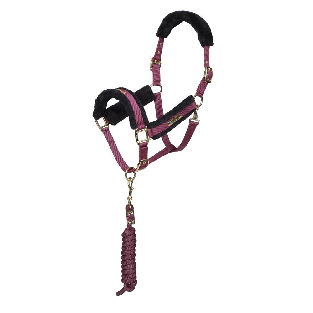 Shires ARMA Logo Headcollar & Lead Rope (Burgundy)