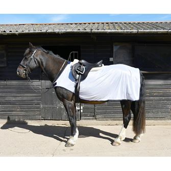 Rhinegold Fixed Chest Mesh Ride-On Rug (White)