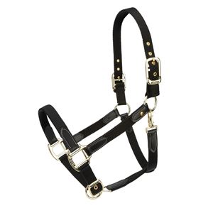 Shires Arma Porto Headcollar (Black)
