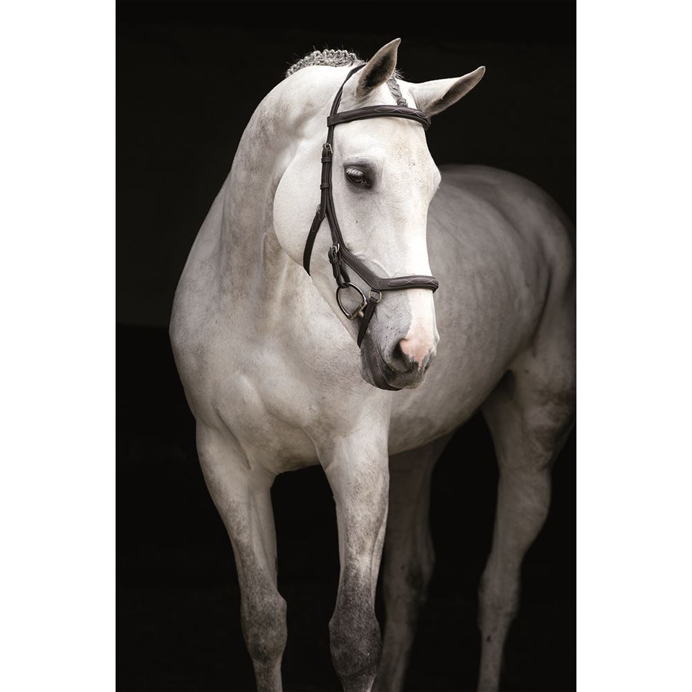 Rambo Micklem Deluxe Competition Bridle (No reins)