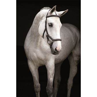 Rambo Micklem Deluxe Competition Bridle (No reins) - (Large Horse - Dark Havana) *Clearance*